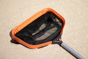 Pool skimmer net laying on the coping by a residential pool